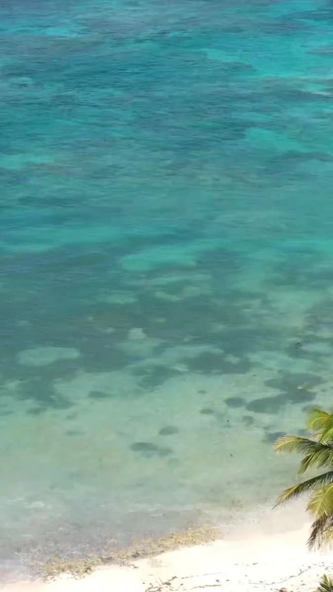 K'O Lanta – 2e édition (épreuves d’aventuriers)