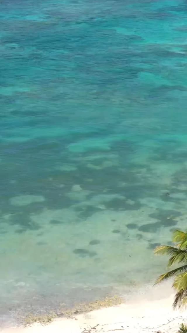 K'O Lanta – 2e édition (épreuves d’aventuriers)