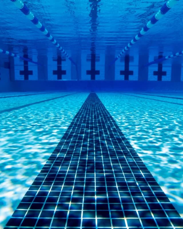 Stages de natation (vacances scolaires) à la piscine Lauga