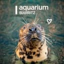 Aquarium Biarrtiz
