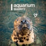Aquarium Biarrtiz
