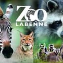 Zoo Labenne