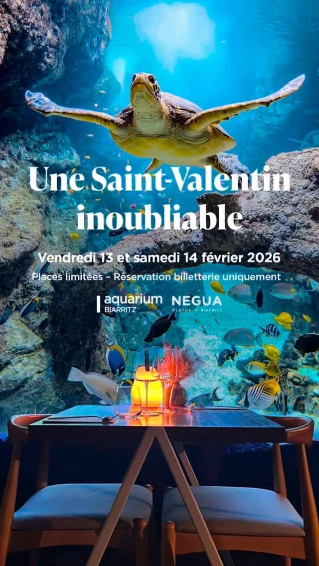 Dîner de Saint‐Valentin à l’Aquarium de Biarritz